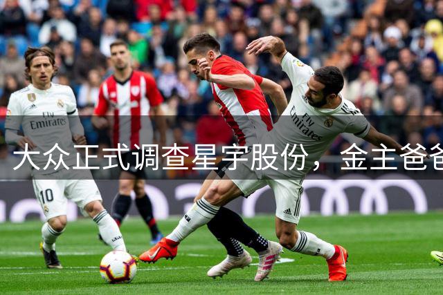 大众正式调查星宇股份，金主爸爸亲自上门查账，星宇很慌。