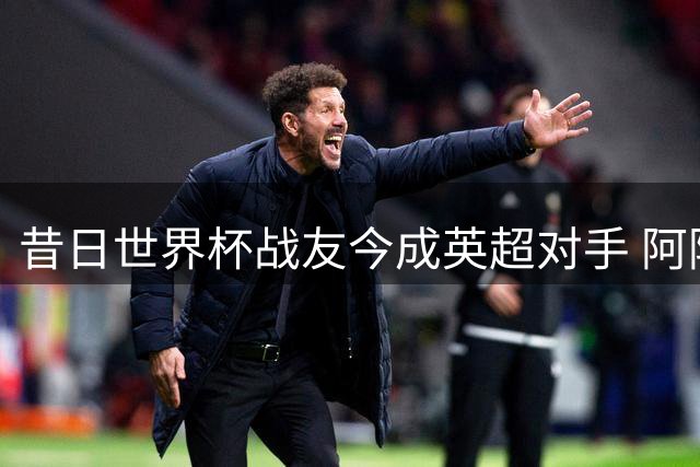 昔日世界杯战友今成英超对手 阿隆索阿韦洛亚首次兵戎相见