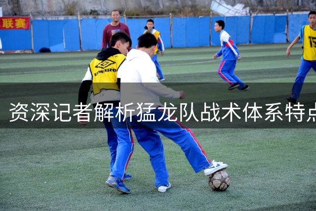 资深记者解析猛龙队战术体系特点